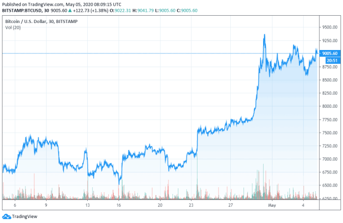 How Halving Events Affect Bitcoin Price