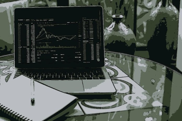 What Makes a Crypto Project Successful?